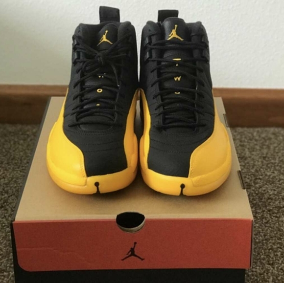 University jordan retro 12